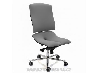 Ergonomická židle Ásana Steel Basic Textil, Graphite